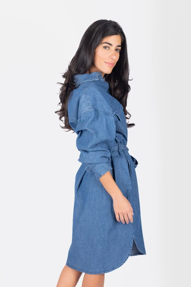 ALICIA DRESS (DENIM)