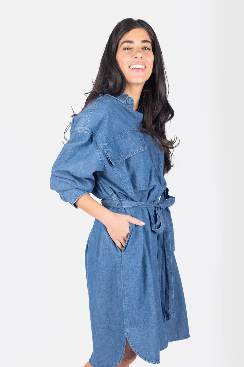 ALICIA DRESS (DENIM)