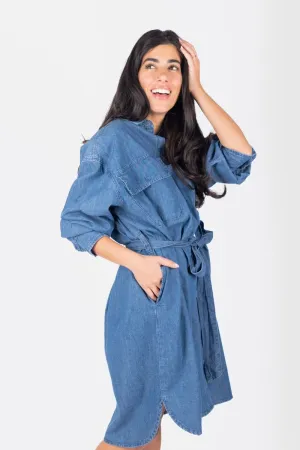 ALICIA DRESS (DENIM)