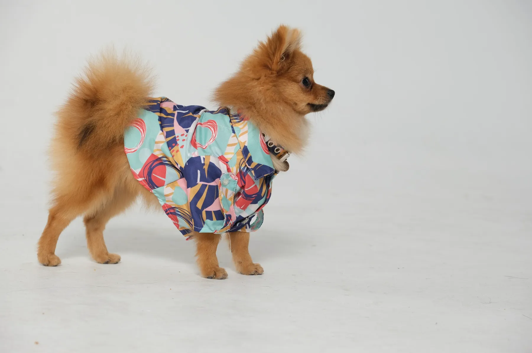 Dog Shirt Abstract City