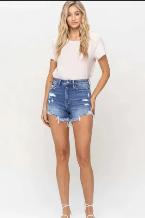 Fun and Free High Rise Distressed Jean Shorts